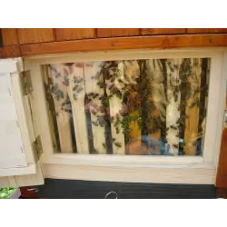 Ul wielkopolski z szybką